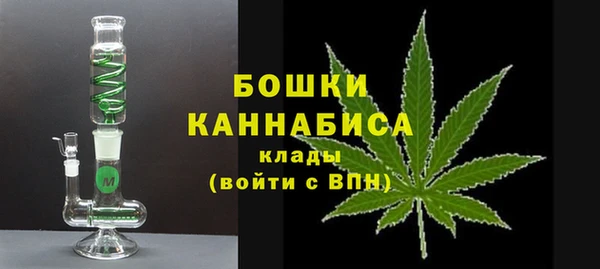 хмурый Верея