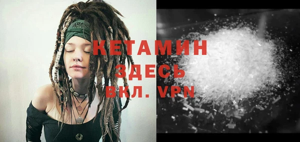 хмурый Верея
