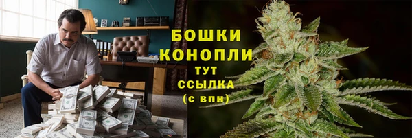 хмурый Верея